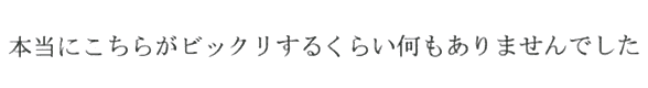 本当にビックリするくらい何もありませんでした。