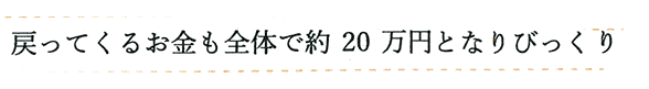 戻ってくるお金も約20万円と聞いてびっくり